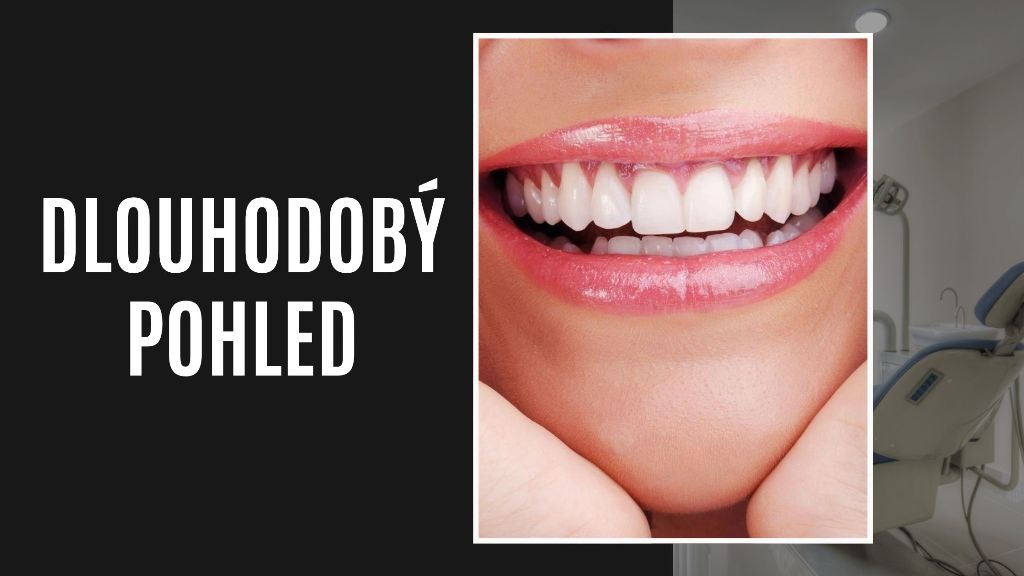 Dlouhodobý pohled